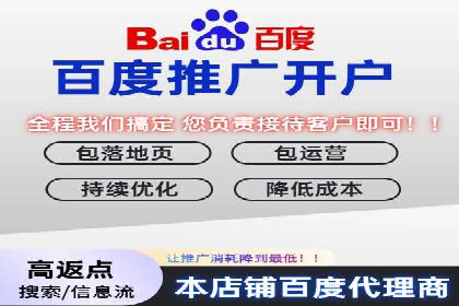 某公司SEO与SEM整合营销的全程记录